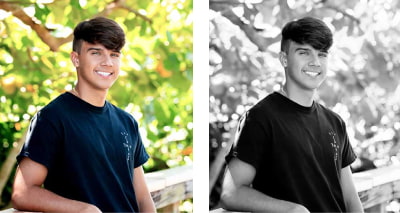 Cady Studios - Review & Checkout